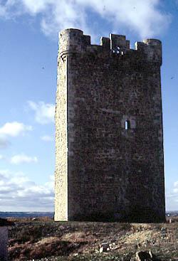 Torreón de Hoyales de Roa